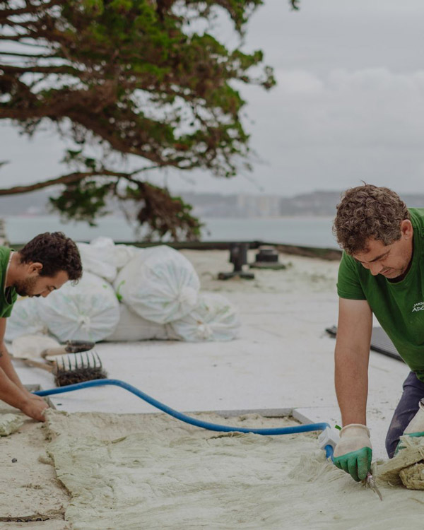 Cobertura verde ajardinada com gramíneas
