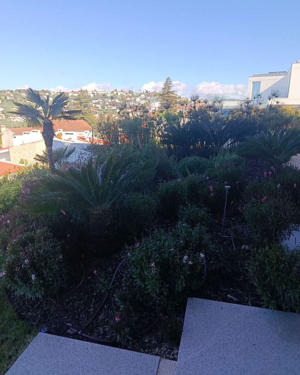 Jardim residencial ornamental