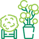 ornamental garden services