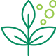 phytosanitary