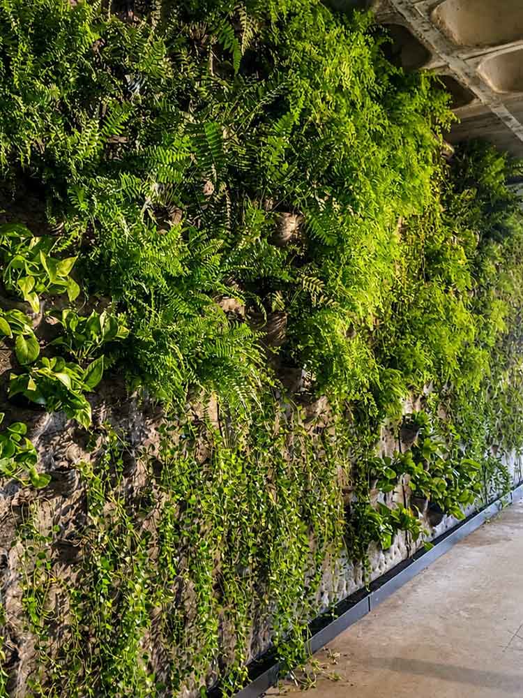 vertical-gardens-img-srv-pge