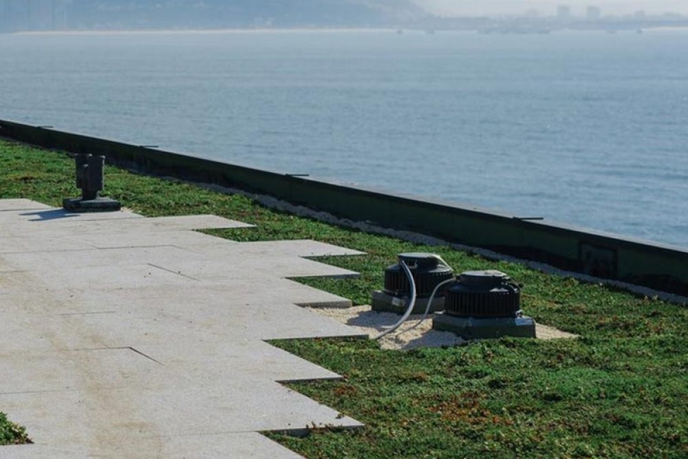 why-choose-us-green-roofs