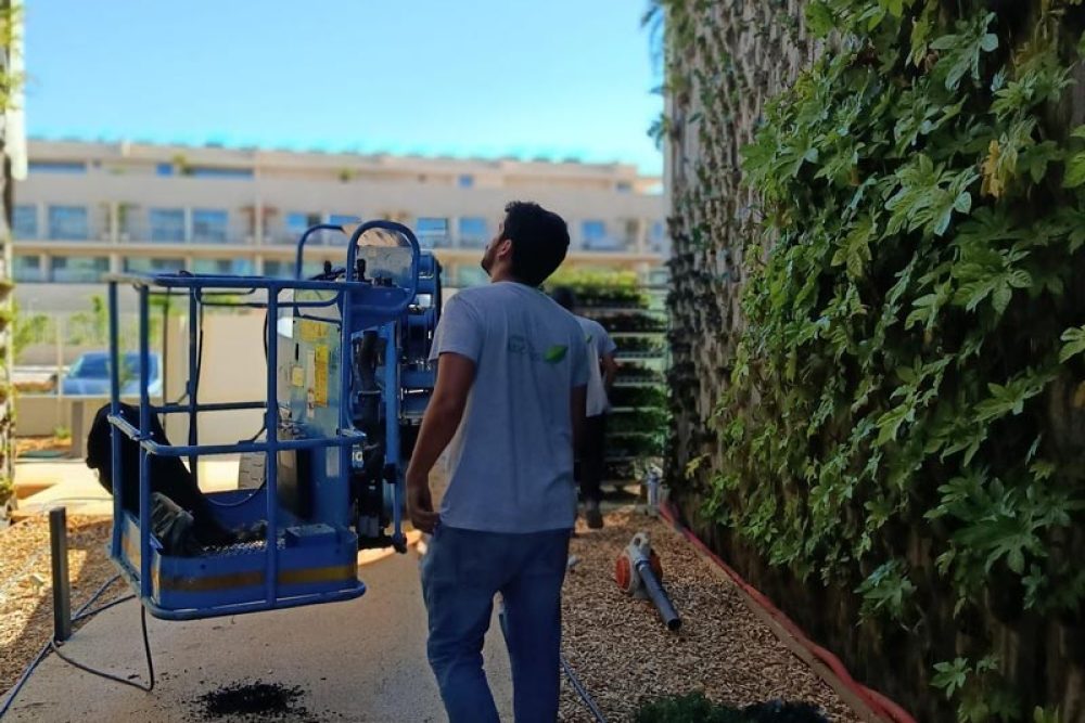 why-choose-us-vertical-gardens
